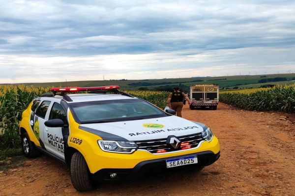 Corpo é encontrado carbonizado próximo à PR-574 entre Cafelândia e Penha