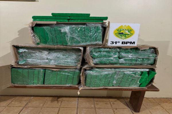 Polícia Militar apreende 153,2 kg de maconha em ônibus de linha em Corbélia