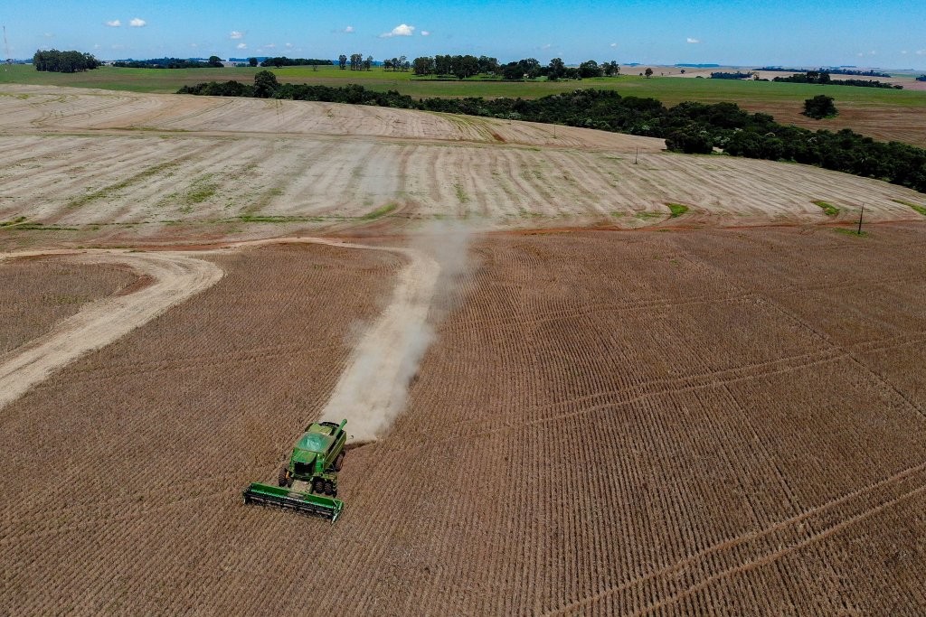 Paraná deve colher 646 mil toneladas de feijão, 34% a mais que em 2023