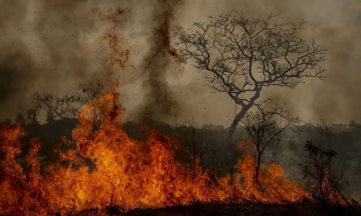 Desastres climáticos aumentaram 250% nos últimos quatro anos no país