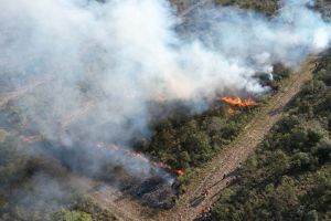 Imagem referente a notícia: Com incêndios, bombeiros registraram aumento de 10% no total de ocorrências em 2024