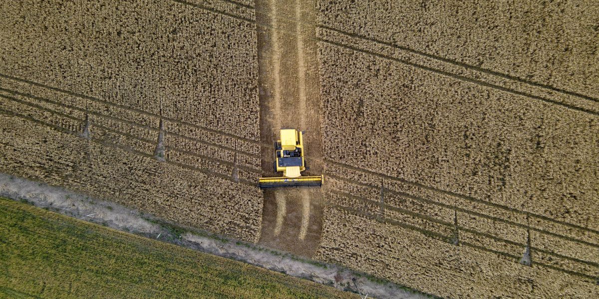 Paraná terá maior crescimento da produção agrícola entre estados do Sul e Sudeste em 2025