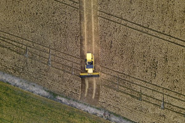 Imagem referente a notícia: Paraná terá maior crescimento da produção agrícola entre estados do Sul e Sudeste em 2025