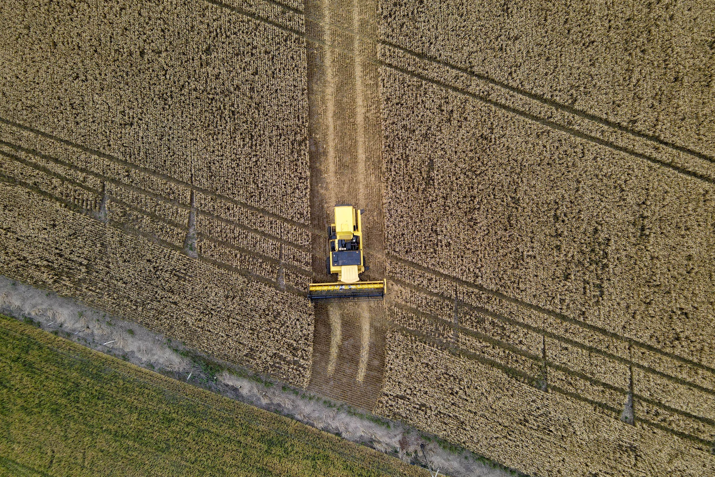 Paraná terá maior crescimento da produção agrícola entre estados do Sul e Sudeste em 2025