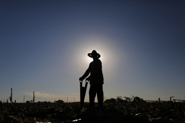 Imagem referente a notícia: Adesão obrigatória da nota fiscal eletrônica do produtor rural é prorrogada para julho