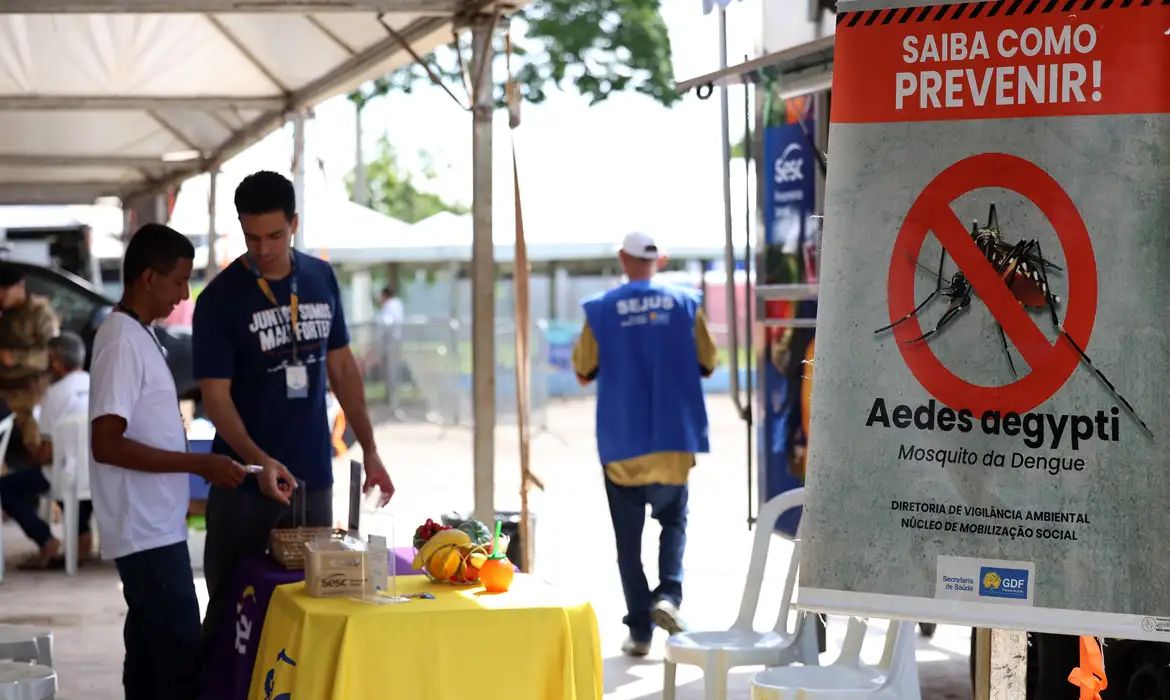 Casos de dengue no Brasil caem 60% nas primeiras semanas do ano