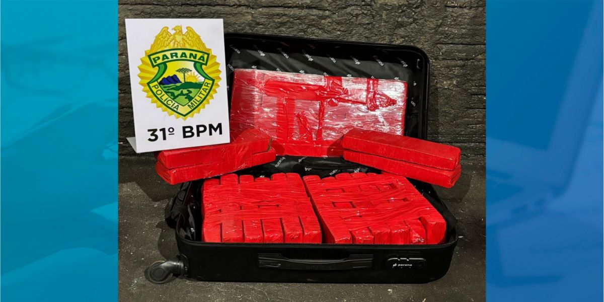 Homem é preso com 14,7 kg de maconha em ônibus na BR-369