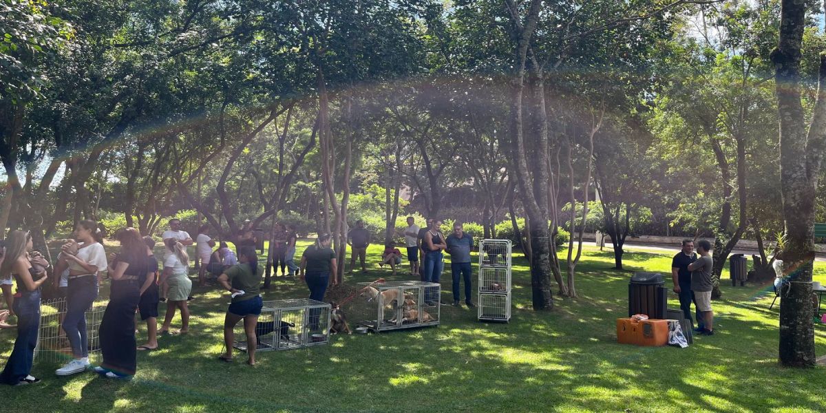 Secretaria de Meio Ambiente realiza 1ª Feira de Adoção e garante novos lares para os animais