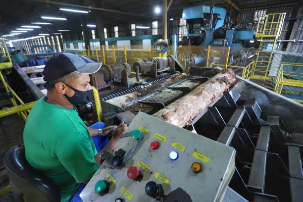 Imagem referente a notícia: Mais de 300 cidades do Paraná registraram saldo positivo na geração de empregos em 2025