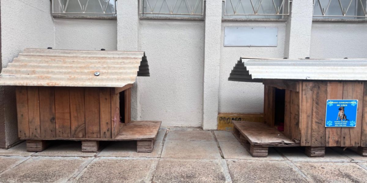 Secretaria de Meio Ambiente arrecada cobertores e distribuirá casinhas para cães em situação de vulnerabilidade