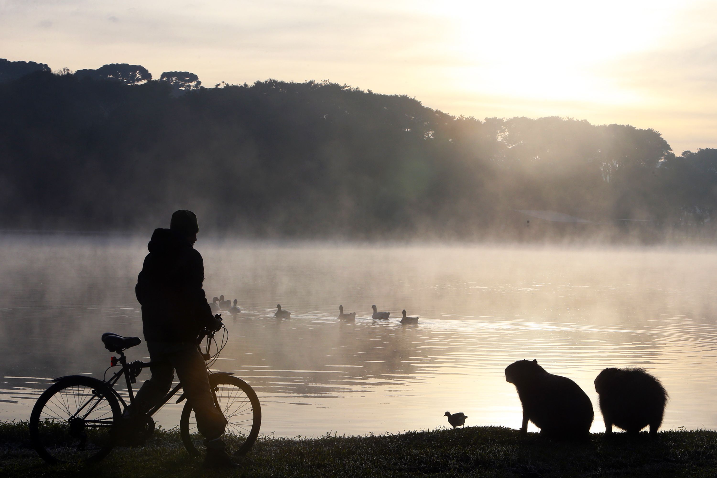 Após recordes de frio em todo o Paraná na quinta, termômetros vão cair ainda mais