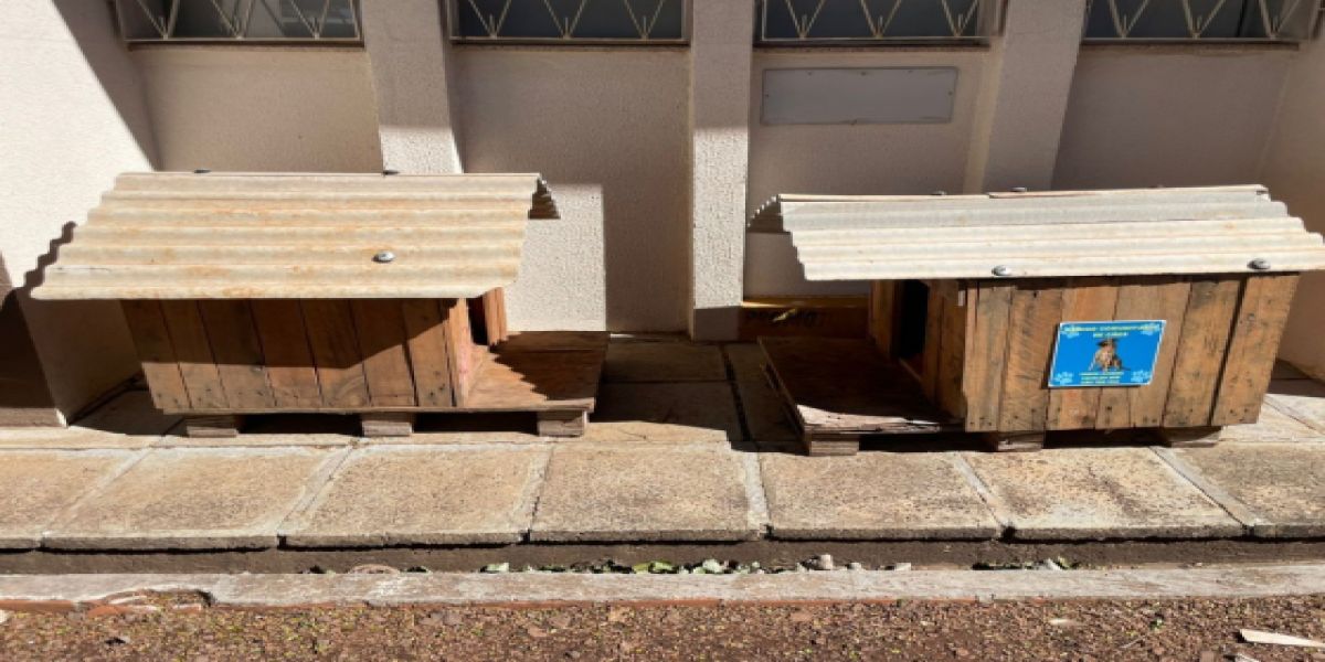 Corbélia promove entrega de casinhas para animais de rua e realiza feirinha de adoção no dia 3 de julho