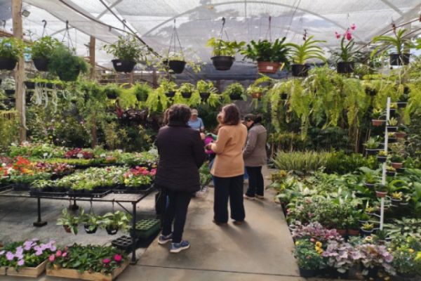 Curso de Jardinagem gratuito movimenta Corbélia com aulas teóricas e práticas