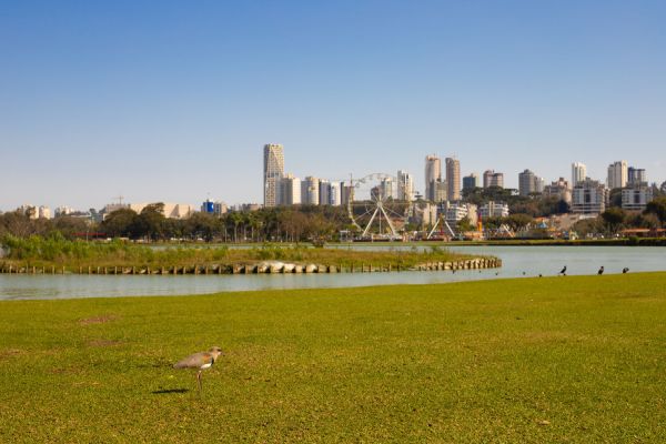 Imagem referente a notícia: Feriado terá menos chuvas e temperaturas amenas no Paraná, prevê Simepar