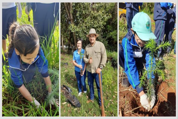 Alunos De Braganey plantam árvores e aprendem sobre sustentabilidade