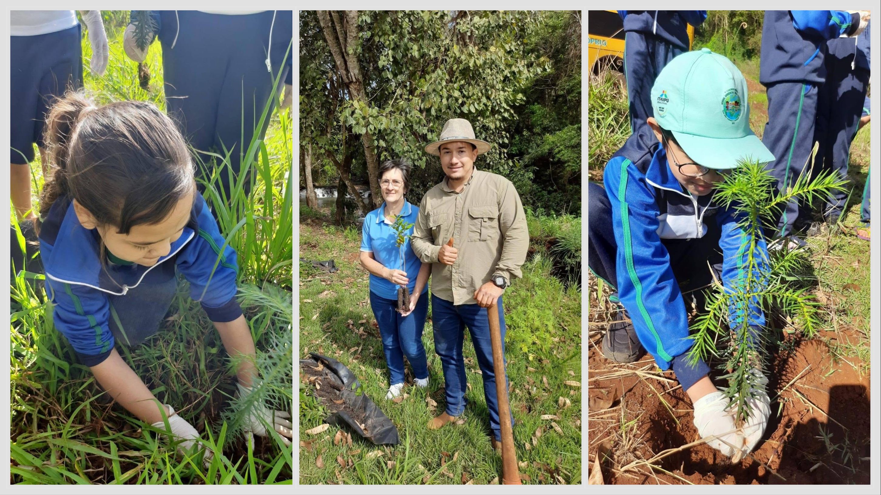 Alunos De Braganey plantam árvores e aprendem sobre sustentabilidade