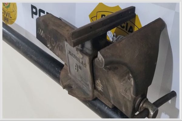 Suspeitos de furto de morsa em Braganey se apresentam à Polícia e devolvem objeto