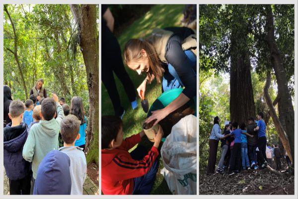 Alunos exploram Parque Ambiental e aprendem sobre a importância das árvores