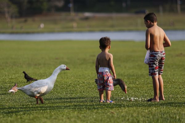 Imagem referente a notícia: Simepar prevê temperaturas altas no fim de semana, com chuva no domingo