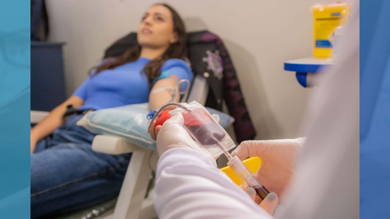 Doar sangue salva vidas e ajuda a manter diversos procedimentos nos hospitais