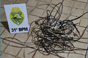 Imagem referente a notícia: Homem é preso após ser flagrado furtando fios de cobre em residência de Corbélia