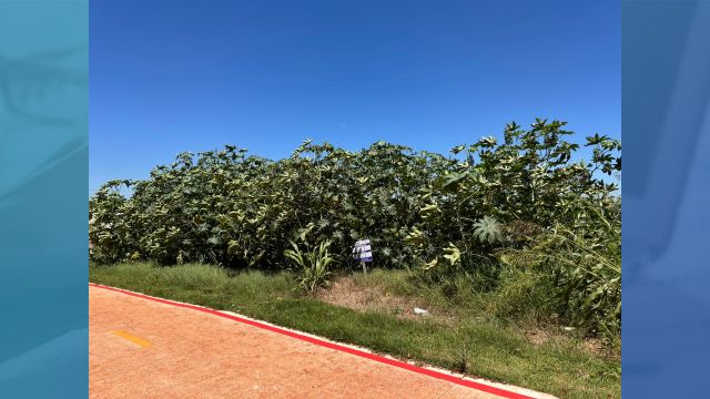 Prefeitura de Corbélia orienta proprietários sobre a manutenção de lotes urbanos em 2026