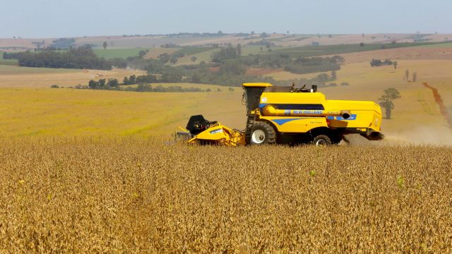 Imagem referente a notícia: Boletim do Deral aponta que safra 2026 ganha volume e consolida cenário positivo no Paraná