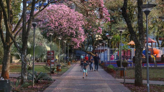 Imagem referente a notícia: Semana deve ser de muito calor no Paraná e chuva no início do Carnaval