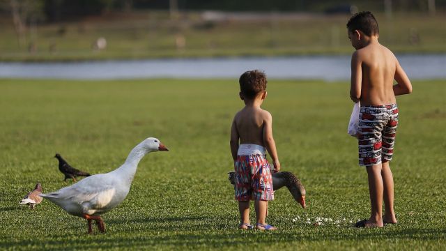 Imagem referente a notícia: Semana terá temperaturas elevadas e pancadas isoladas de chuva no Paraná