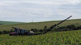 Imagem referente a notícia: Tratorista é resgatado após máquina encostar em rede elétrica na zona rural de Nova Aurora