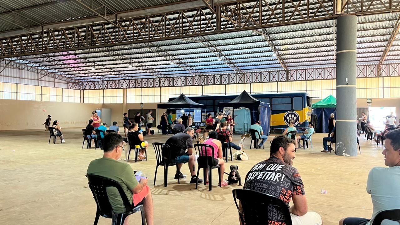 Castrapet realiza cerca de 100 castrações de cães e gatos em Corbélia nesta quarta-feira