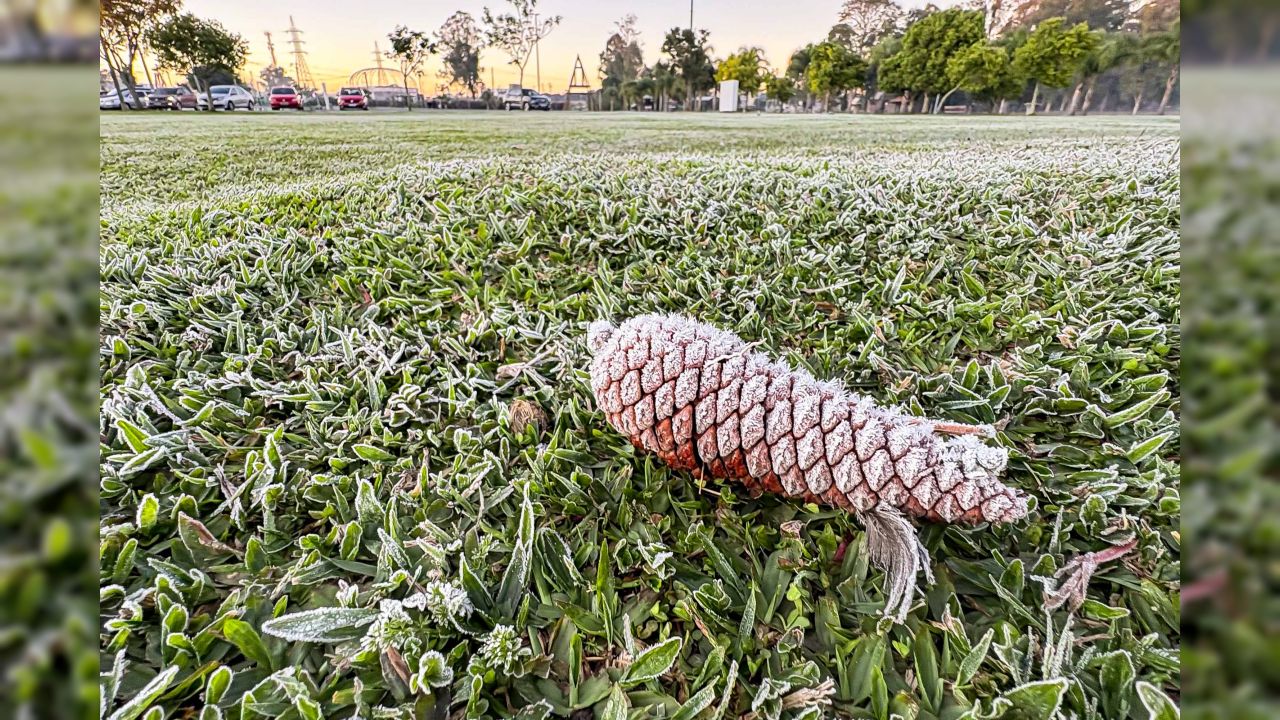 Sinais de inverno: maio terá frentes frias e geada no Paraná, prevê Simepar