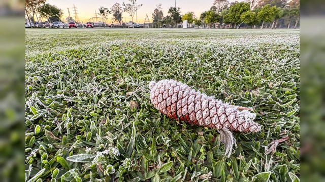 Sinais de inverno: maio terá frentes frias e geada no Paraná, prevê Simepar