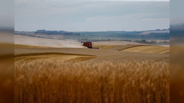 Soja e milho impulsionam produção paranaense com estimativa de 39,1 milhões de toneladas