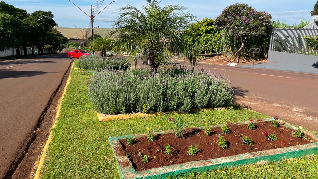 Corbélia planta 10 mil flores e faz apelo à População para proteger novos canteiros da cidade