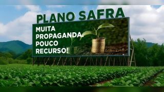 Imagem referente a notícia: Plano Safra preocupa Apepa diante de juros altos e restrições ao crédito