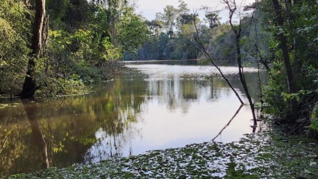 Buscas por homem desaparecido de Anahy se concentram em riacho às margens da PR-574 após localização de documentos e pertences