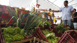 Imagem referente a notícia: Decreto adia exigência de CNPJ para autônomos e produtores rurais