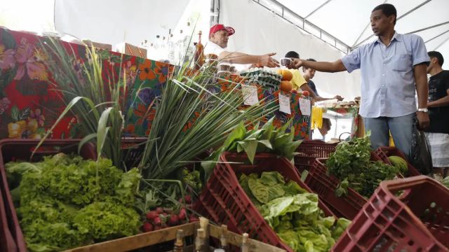 Decreto adia exigência de CNPJ para autônomos e produtores rurais