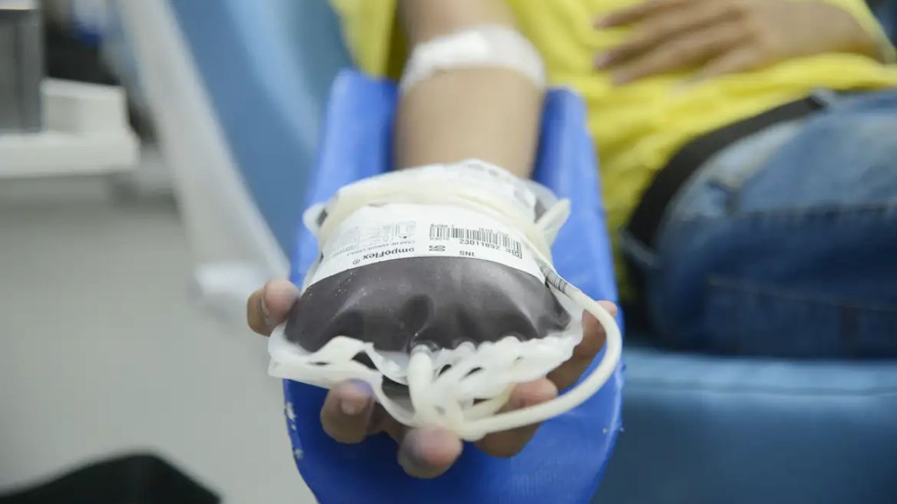 Doação de sangue: espera para quem fez tatuagem e piercing será menor