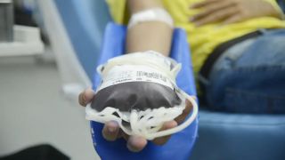 Imagem referente a notícia: Doação de sangue: espera para quem fez tatuagem e piercing será menor