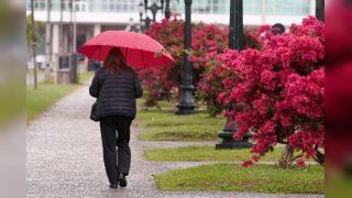 Imagem referente a notícia: Paraná terá fim de semana cinzento com risco de tempestades, prevê Simepar